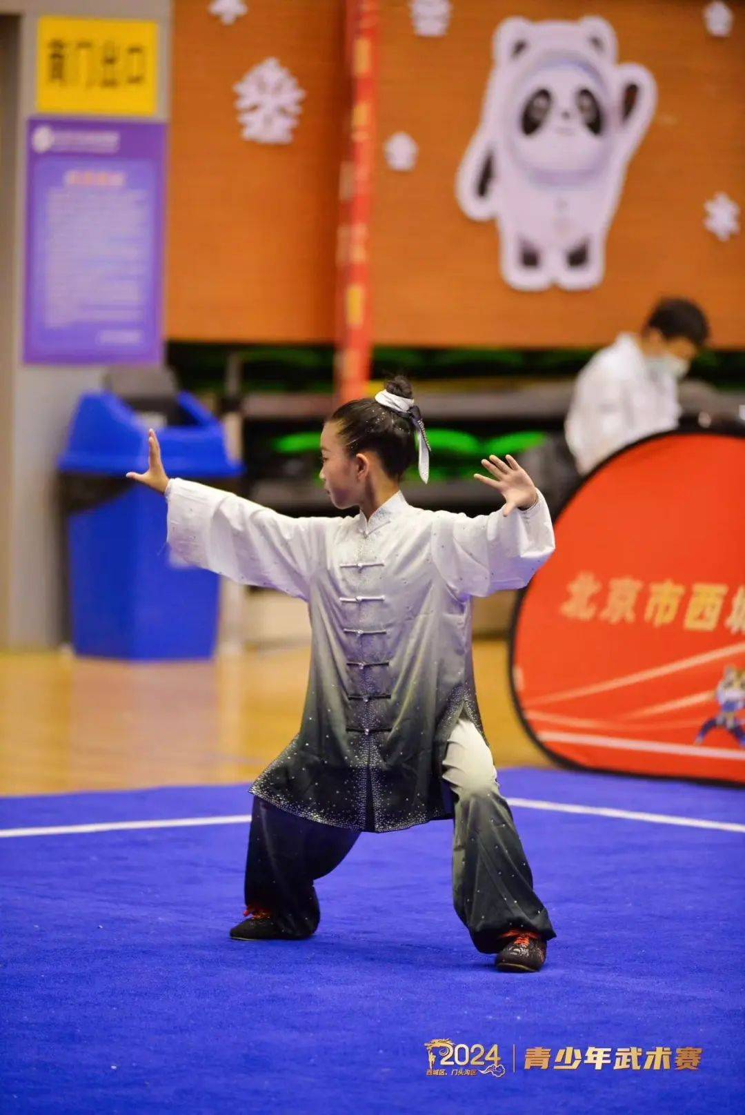 青少年传统武术表演，文化与运动的双重盛宴的简单介绍