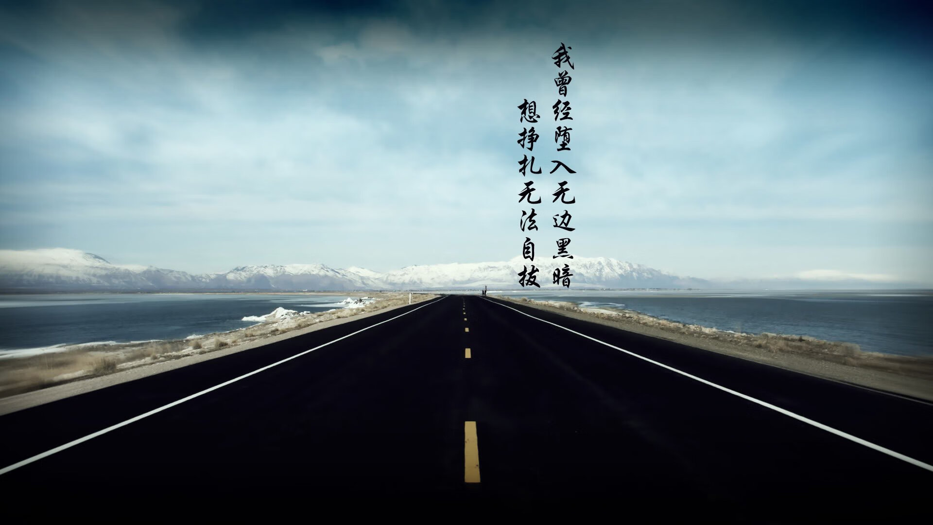 WRC粉丝团体：全球车迷的热情聚会，wrc车队排名