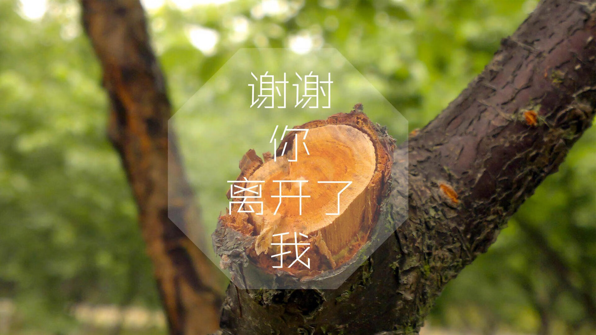 传统民俗龙舞运动会，文化与运动的完美结合，运动会舞龙表演视频