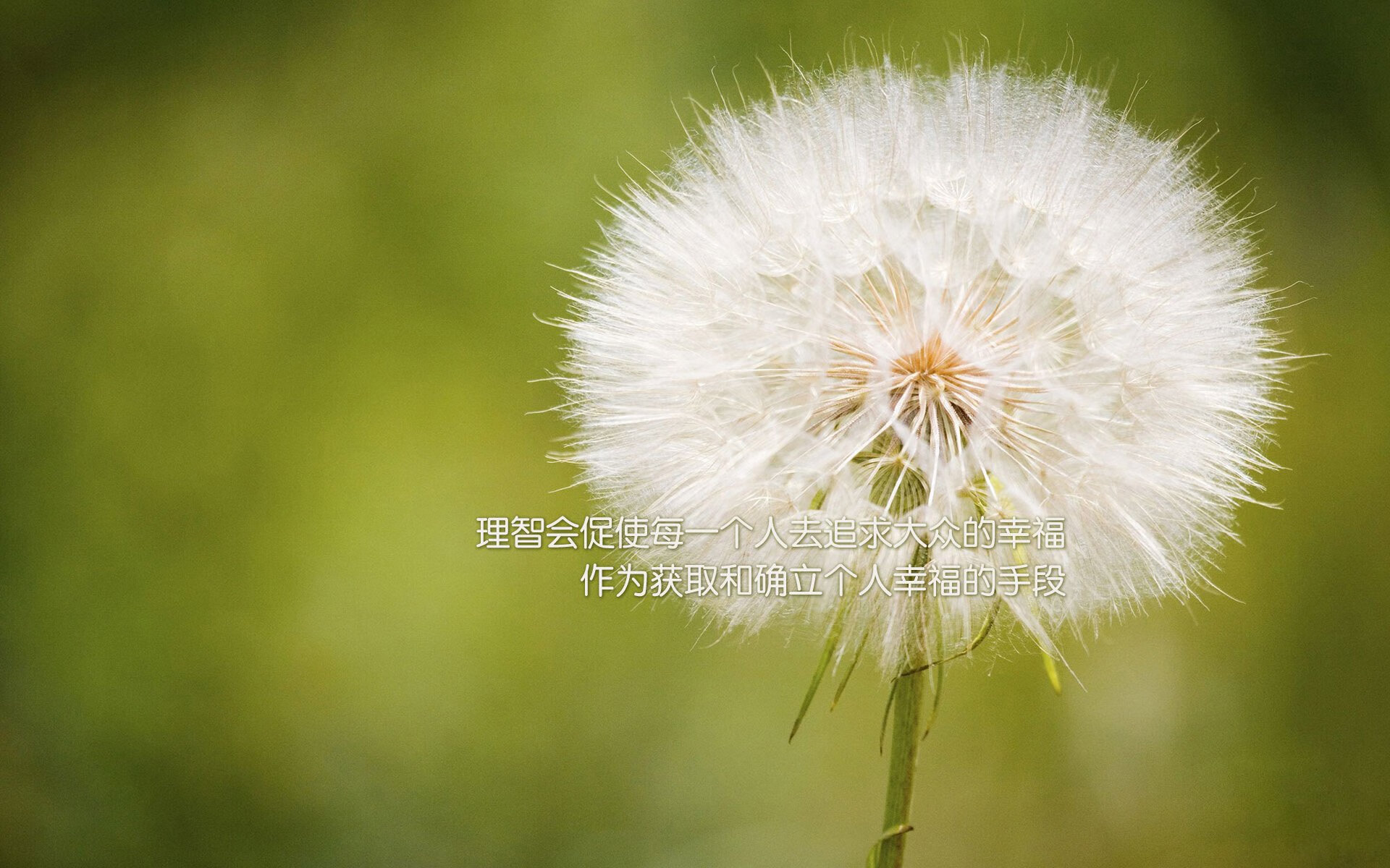 锦标赛决赛尘埃落定，终极对决展现精彩，锦标赛对阵图