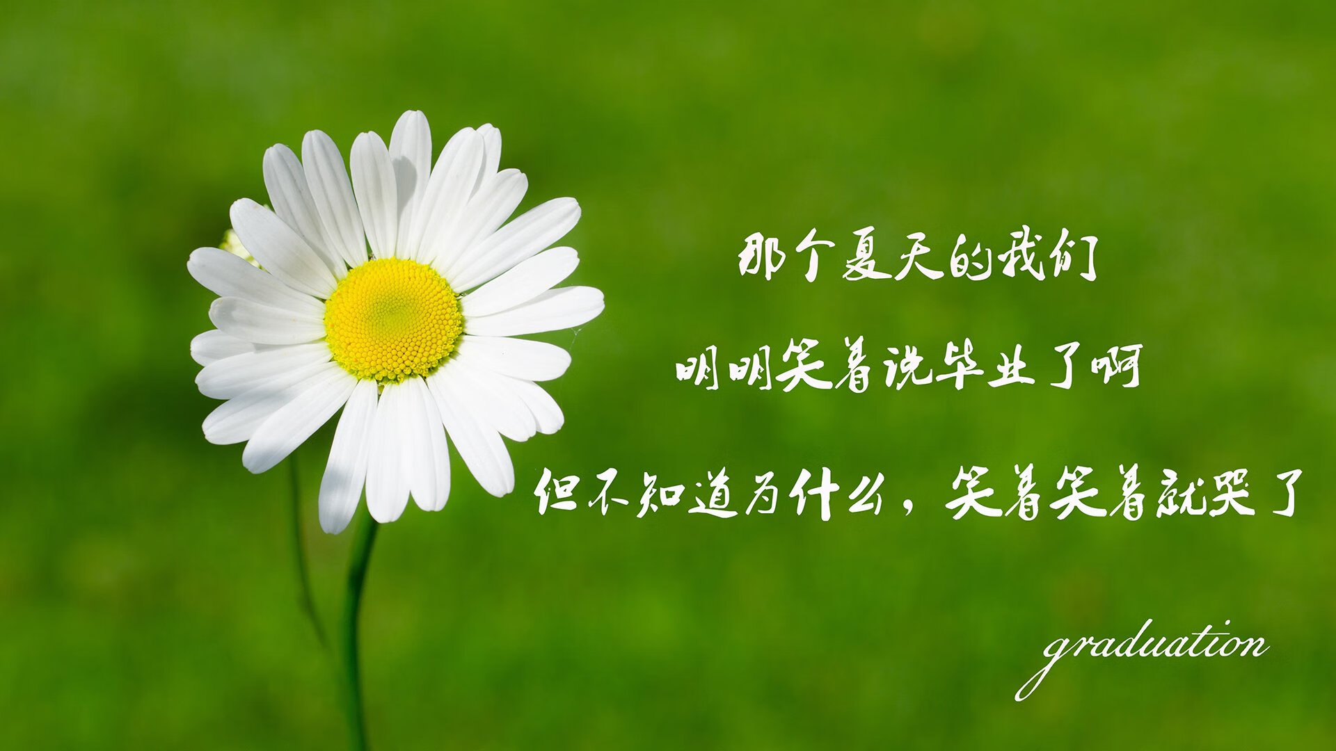 高身价转会是否面临超预期表现压力，转会市场身价