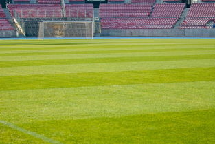AC MILAN APP-高校运动场馆预约系统设计与管理机制研究，高校体育场馆如何运营和管理